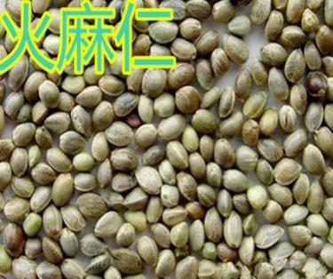 中药材火麻仁图3