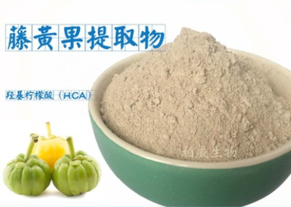 聚谷氨酸 γ-PGA图1