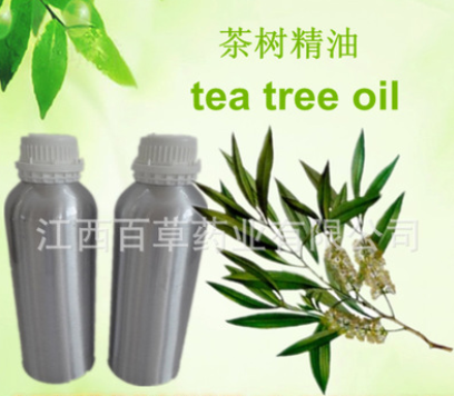 茶树精油