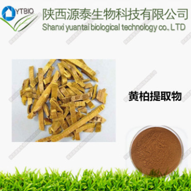 盐酸小檗碱98% 盐酸黄连素 黄柏提取物 厂家直销 质量保证图3