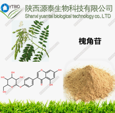 供应优质槐角提取物 槐角苷 槐甙 品质保证 量大从优图3