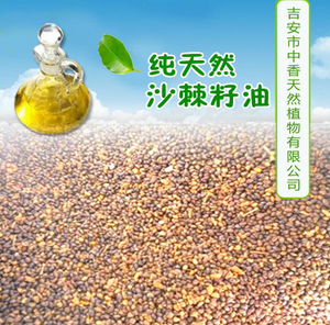 吉安中香天然植物低价供应沙棘籽油 纯天然植物精油 沙棘精油图2