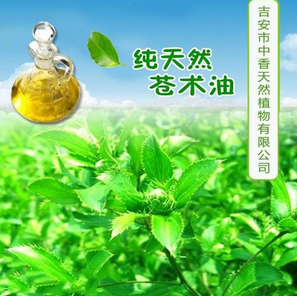 吉安中香植物专业生产苍术油 价格低 天然提取植物精油 中药精油图1
