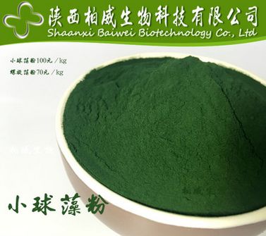 小球藻粉（绿藻粉）食品级 100%纯天然 破壁好吸收 小球藻提取物图2