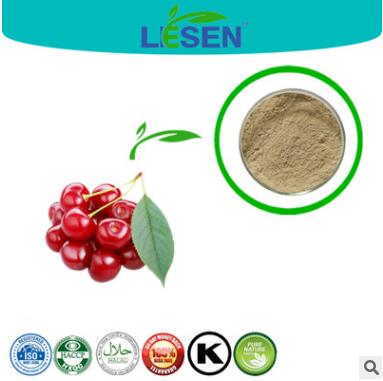 纯天然提取 针叶樱桃提取粉末 VC17% 25%图3