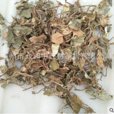 中药材小叶金钱草图2