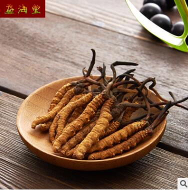 冬虫夏草图3