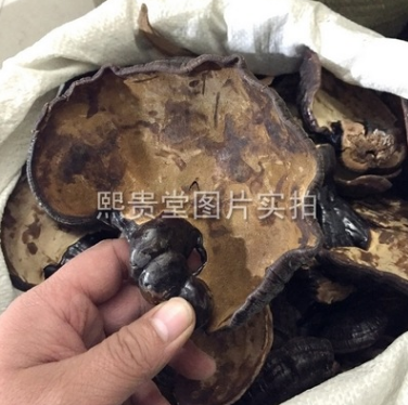 半野生紫灵芝 1千克/1公斤/1000g 可开发票图1