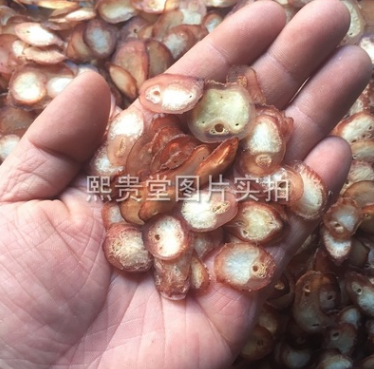 牛鞭片 散装 大货供应 可开发票图2