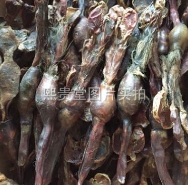 精品黄狗鞭 大货供应 可开发票图2