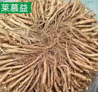 长白山鲜人参带土新鲜人参 东北特产泡酒人参图2