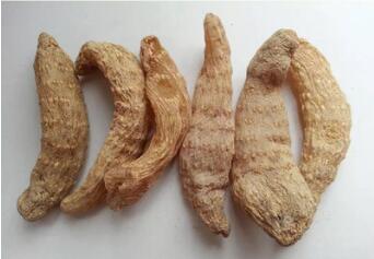 白花鱼花胶粒 鱼肚 鱼鳔 花胶粒图2