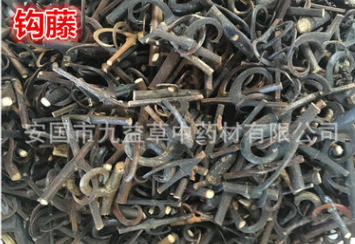 钩藤 批发供应各种规格钩藤 钩藤粉图2