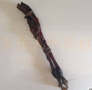 海狗鞭海狗肾 三鞭泡酒必备 大海狗鞭 单只20-25g图2