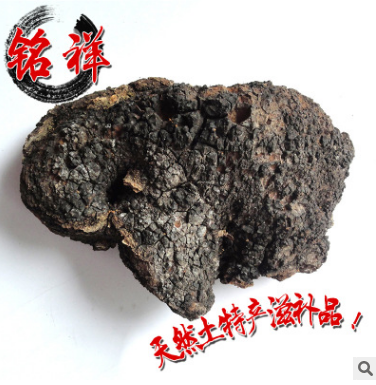 厂家直销 野生桦褐孔菌 野生灵芝 白桦茸 桦树泪图3