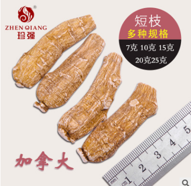 精选加拿大进口西洋参段短枝 散装 10 15g 可代切片滋补药材批发图3