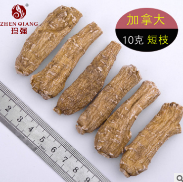 精选加拿大进口西洋参段短枝 散装 10 15g 可代切片滋补药材批发图1