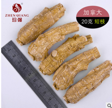 精选加拿大进口西洋参段短枝 散装 10 15g 可代切片滋补药材批发图2