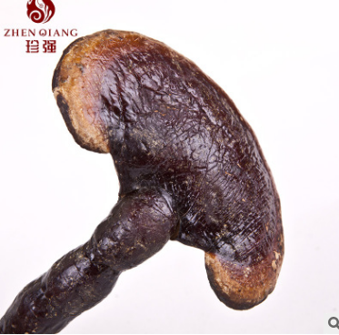 野生灵芝 批发赤灵芝 名贵滋补药材灵芝图3