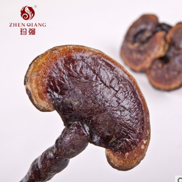 野生灵芝 批发赤灵芝 名贵滋补药材灵芝图2