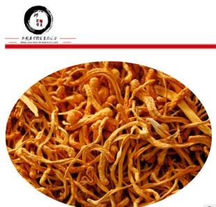 亳州邦国中药材批发散装金虫草蛹虫草花图1