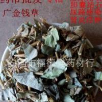 中草药鸡骨草 家种鸡骨草 长把带根无硫璜