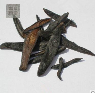 中药材批发供应纯清水吊干水蛭 蚂蝗 动物原药材 破血 逐瘀 通经图2