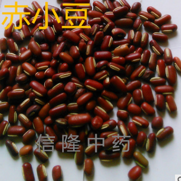 信隆公司供应药用赤小豆清热退黄 解毒排脓 提供打粉图3