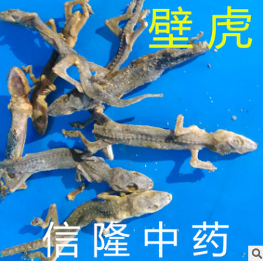 信隆供应中药材动物药材天龙 壁虎 蝎虎图2