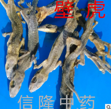 信隆供应中药材动物药材天龙 壁虎 蝎虎图3