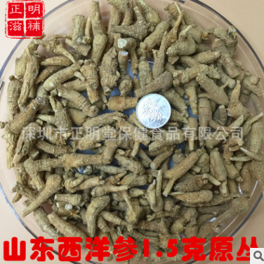 正明堂滋补 国产西洋参山东西洋参 山东1.5克原丛 直销批发图1