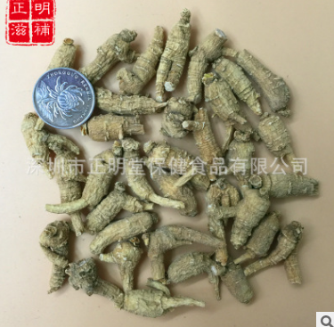 正明堂滋补 国产西洋参山东西洋参 山东1.5克原丛 直销批发图2