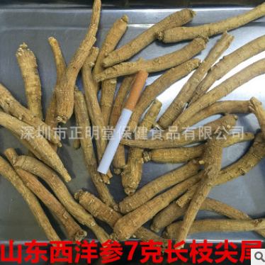 正明堂滋补 国产西洋参山东西洋参 山东7克长枝尖尾 直销批发图3