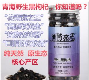 青海柴达木特级 野生黑枸杞子图2