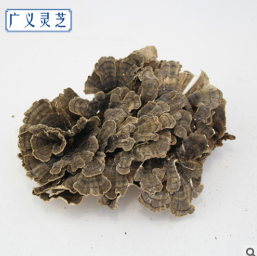 野生云灵芝 中药材批发 基地直供优质野生云芝 药食两用 量大从优图2