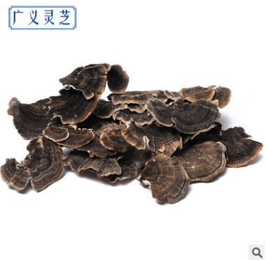 野生云灵芝 中药材批发 基地直供优质野生云芝 药食两用 量大从优图3