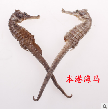 海马干活中药海马泡酒药材大小规格本港秘鲁非洲滋补养生批发批发图3