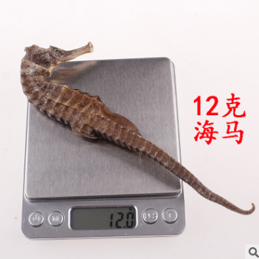 海马干活中药海马泡酒药材大小规格本港秘鲁非洲滋补养生批发批发图1