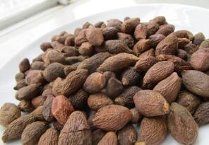 长果胖大海 越南胖大海 花草茶食品图1