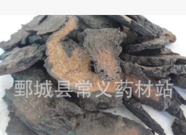 地道药材 纯净干货 锁阳 补肾 益精 润燥图1