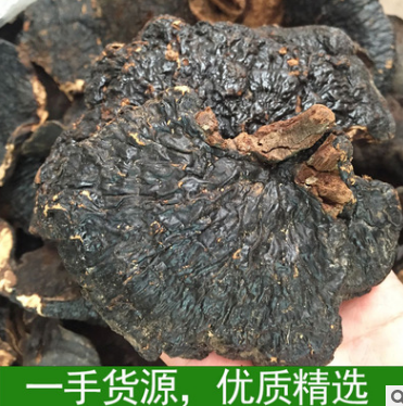 优质现货特供海南薄盖灵芝海南野生灵芝正品 干货有柄可批发图3