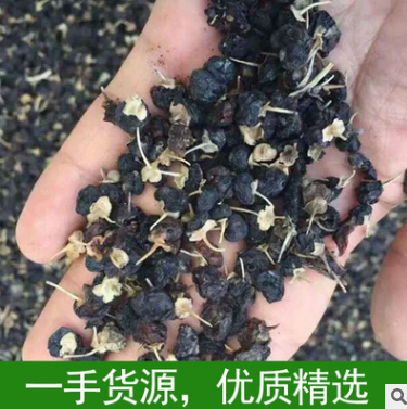 新疆野生黑枸杞 天热滋补枸杞子 无添加特级黑枸杞枸杞子厂家批发图2