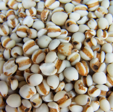 厂家直销批发 广西苡仁米 薏米 仁 纯天然薏米 散装 碎薏米药食图3
