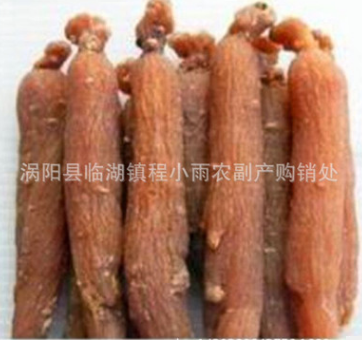 长白山特级红参棒 另有无糖红参 东北特产 中药材批发图2