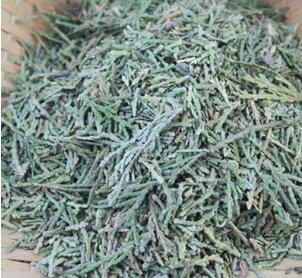 中药材 侧柏叶 侧柏叶碳 粉 柏叶 配桑叶 苦丁茶 草药图1