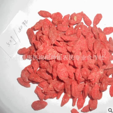 甘肃枸杞子滋补品 180粒/50克 食用保健枸杞 红枸杞大果40斤一箱图2
