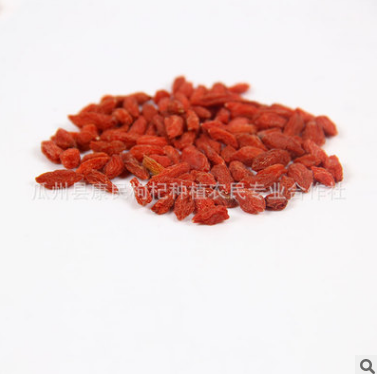 甘肃瓜州枸杞320粒/50g 泡茶泡酒枸杞 优质红枸杞批发 一箱40斤图1