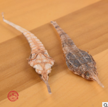 特大海燕 海麻雀 泡酒 中药材 2元一只 供应批发图2