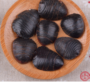 特级土元 土鳖虫 各种规格 1千克 中药材图1