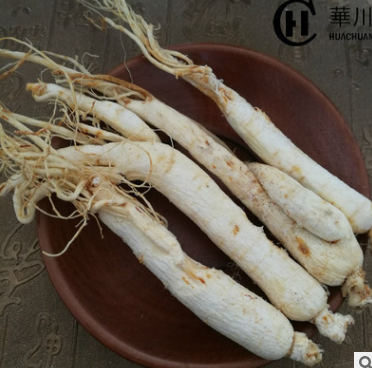 云南白人参500g 无硫全须泡酒优质精选原皮白人参基地直销图3